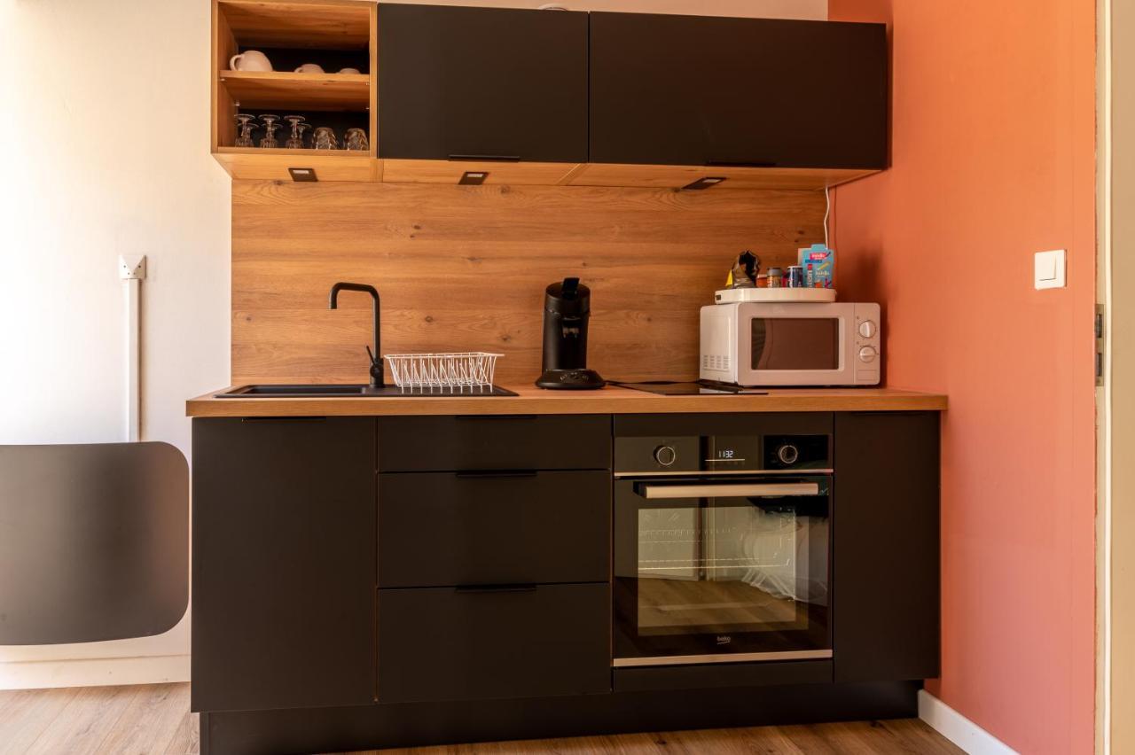 Appartement Cosy Avec Jardin Au Centre Historique De Selestat & Proche Europa-Park Exteriör bild